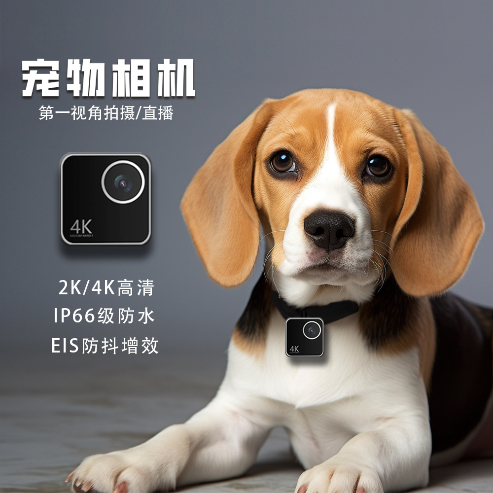 Cameras - Hayvan kedi köpek evcil hayvan kamerası