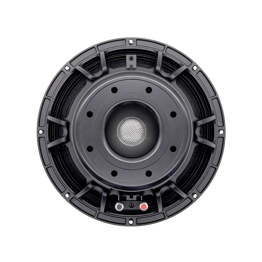 Speakers - 12DS Pro Ses Ekipmanları 12'' Hoparlör