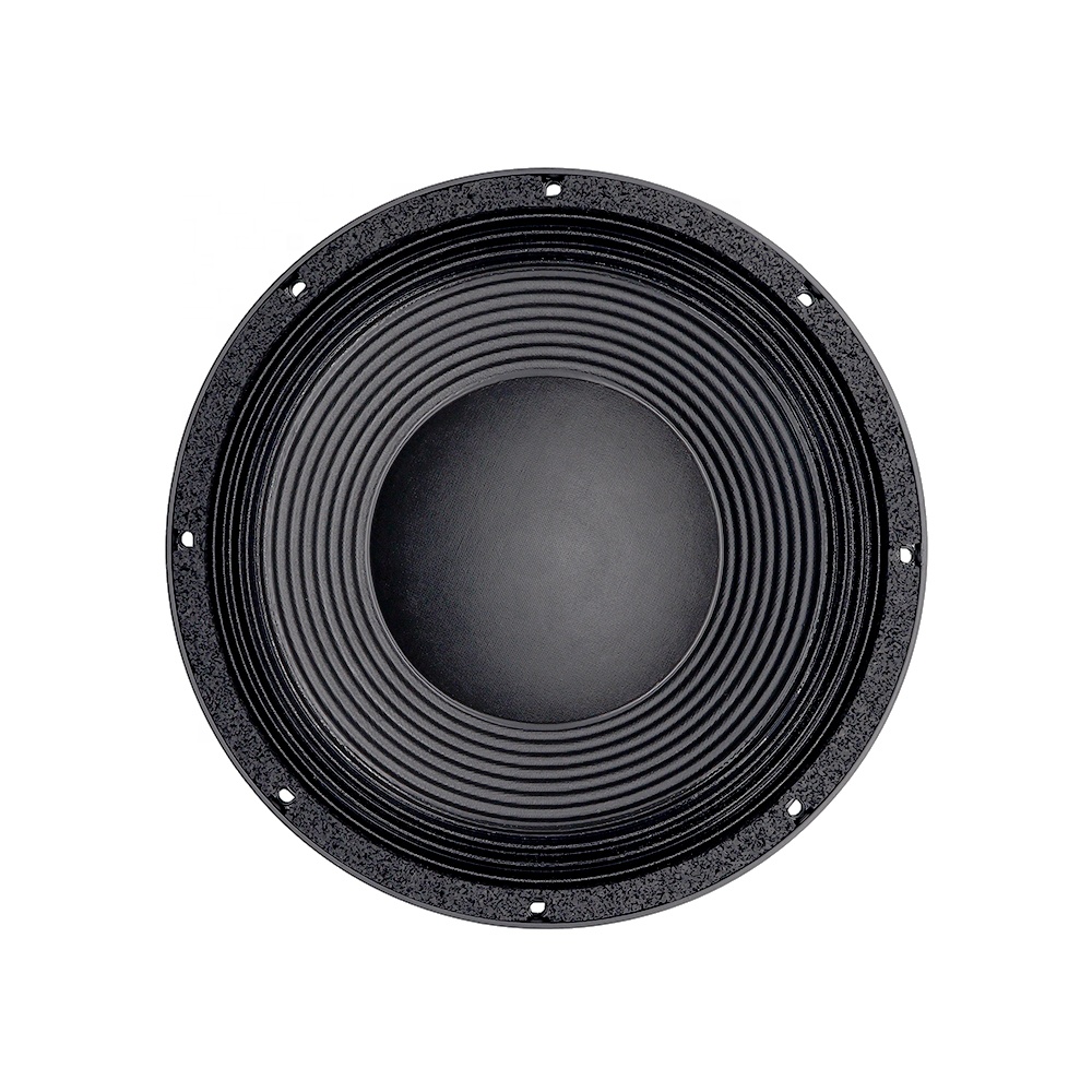 12DS Pro Ses Ekipmanları 12''  - Speakers incelemesi ve fiyatı